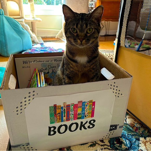 💖Come visit my Mama & Shop the Kitty-Korner!💖 - Picture 5 of 17